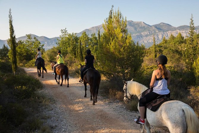 Horseback Riding in Konavle Region with Transport from Dubrovnik - The 5:15 PM pickup from Dubrovnik