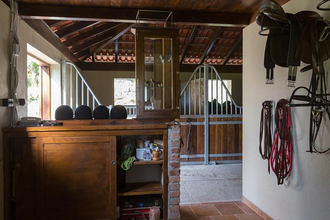 Horseback Riding in Konavle Region with Transport from Dubrovnik - Two hours through forest, vineyards, and old villages