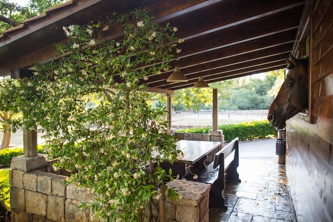 Horseback Riding in Konavle Region with Transport from Dubrovnik - The coastal lookout and sunset views