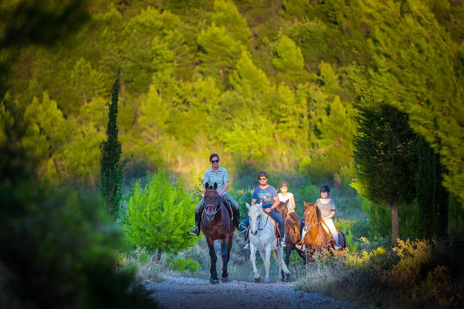Horseback Riding in Konavle Region with Transport from Dubrovnik - Meeting your horse at Kojan Koral