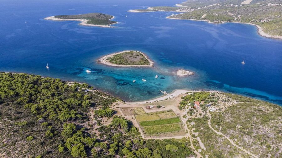 Hvar: Blue Cave, Green Cave & Stiniva Beach Speed Boat Tour - What the guide and boat service are like
