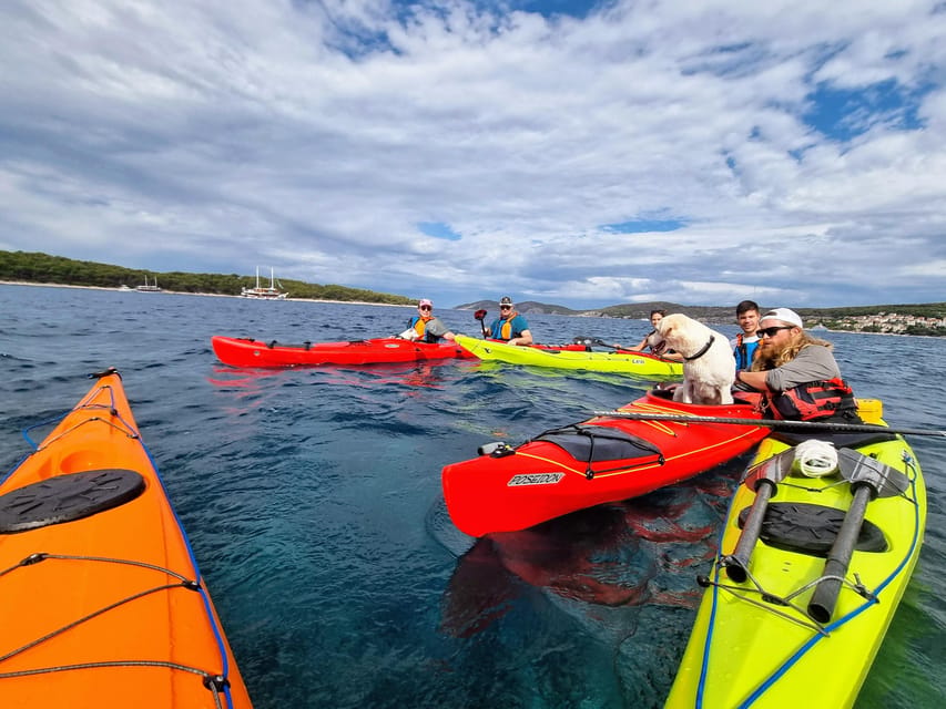 Hvar: Half day kayak tour to Pakleni islands - Who will enjoy this more, and who may not