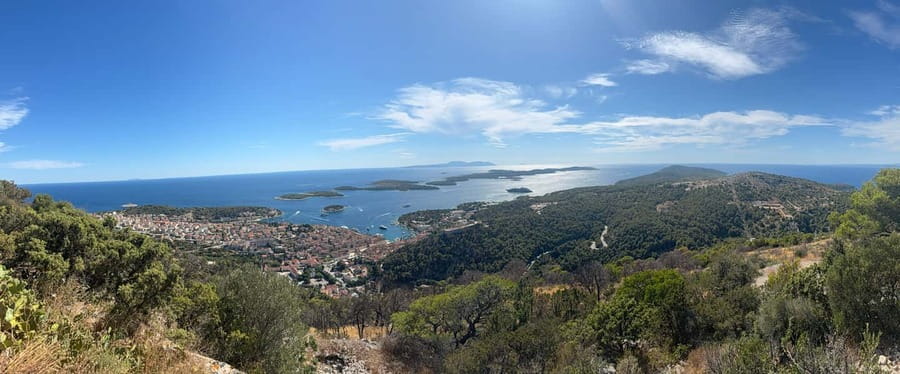 Hvar: Hvar Wine Tasting Experience - Lavender, olive trees, and old village life