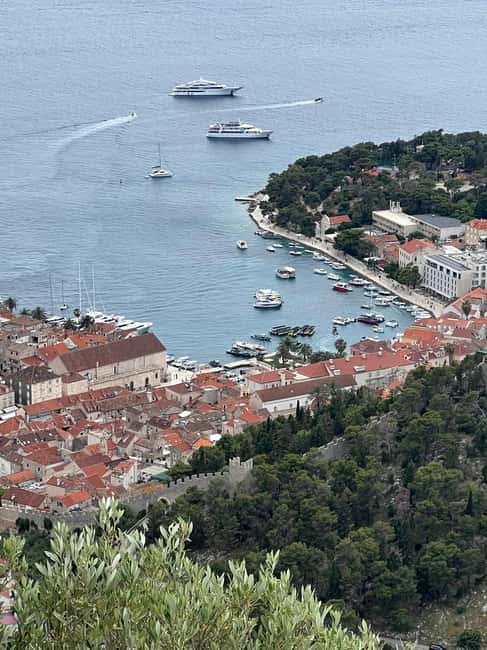 Hvar: Hvar Wine Tasting Experience - Choosing between Carić, Tomić, and Duboković