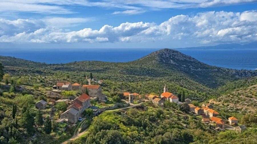 Hvar: Island tour with Wine and Olive Oil Tasting - Key points to know before you book