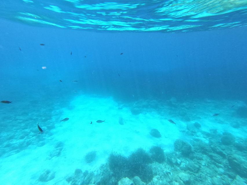 Hvar: Private Sailing Boat Trip with Swimming and Snorkeling - Who will enjoy this private Hvar trip most?