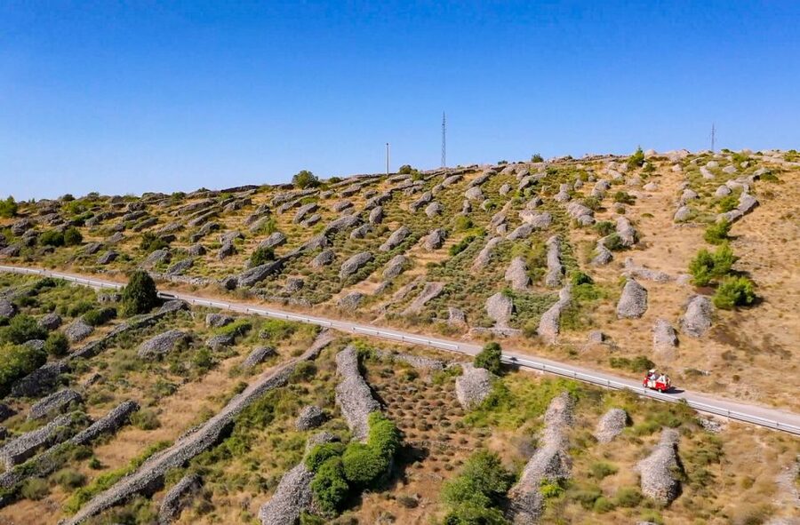 Hvar: Tuk Tuk island tour - Velo Grablje and the story of Hvar’s lavender