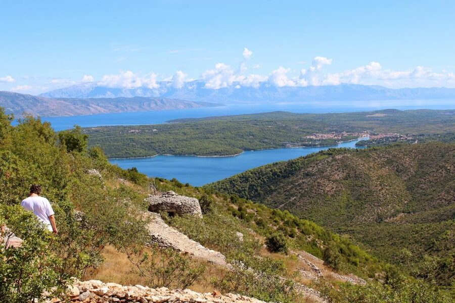 Hvar Wine Tour + Dalmatian Dinner - Two winery visits, three very different wine stories