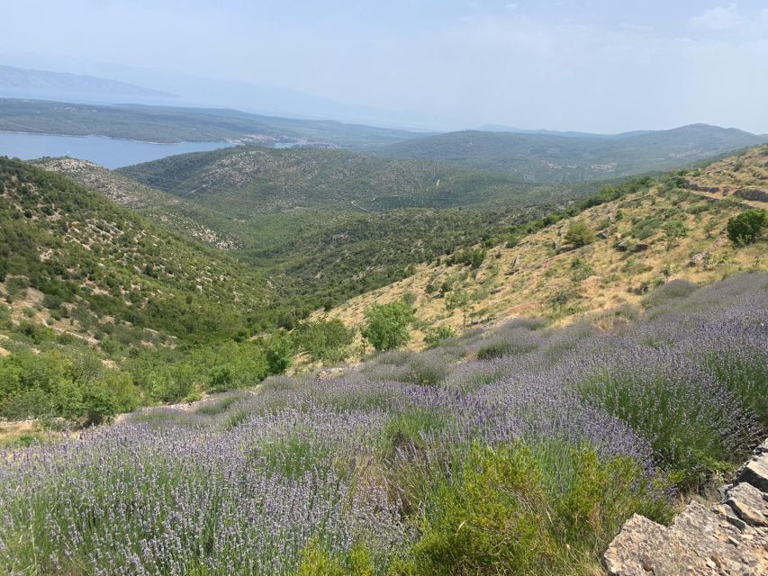 Hvar Wine Tour + Dalmatian Dinner - Dalmatian dinner in a village konoba