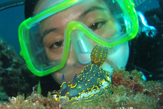 Intro Dive in Dubrovnik - The first lesson: gear, breathing, and signals