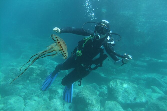 Intro Dive in Dubrovnik - How the small group changes the experience