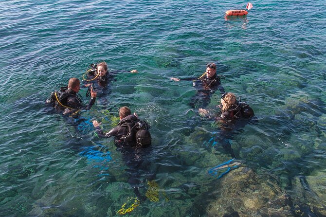 Intro Dive in Dubrovnik - Starting at Blue Planet Diving Center
