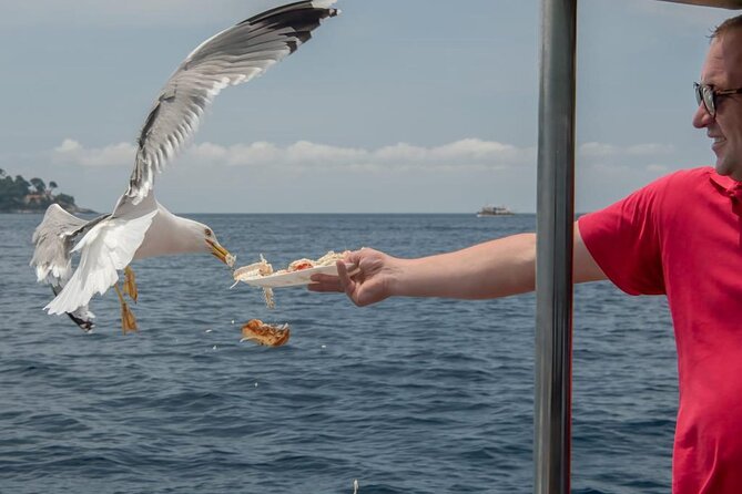 Island Hopping & City Walls Cruise with Food and Open Bar - Dubrovnik looks best from the water on the return
