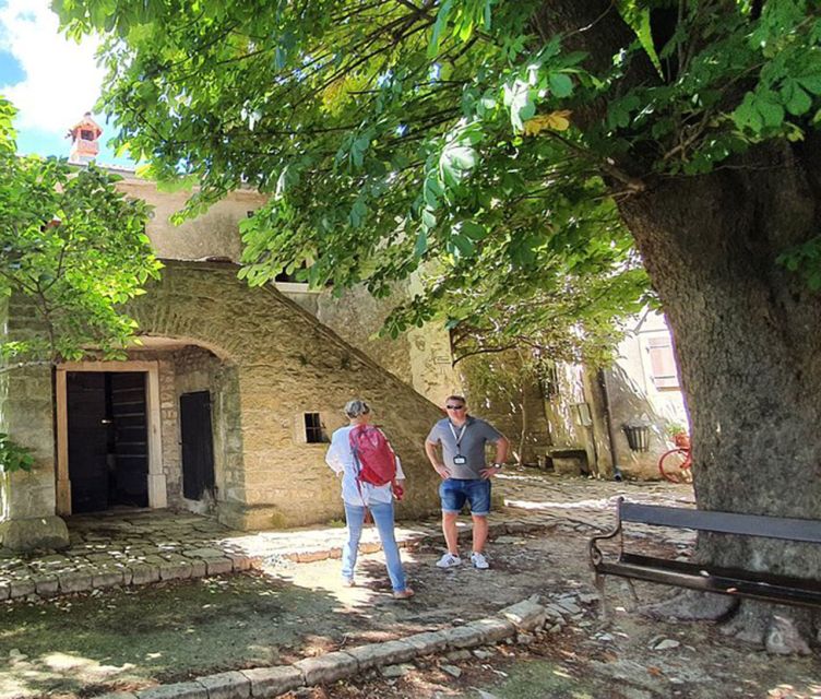 Istria: Guided Tour of Inner Istria with Food Tasting - Motovun: walls, views, and the truffle table