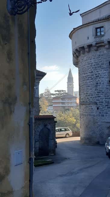 Istria: Guided Tour of Inner Istria with Food Tasting - Is $108 a fair price?