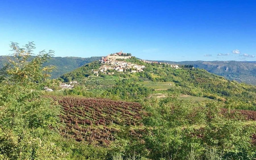 Istria: Guided Tour of Inner Istria with Food Tasting - Who should book this Inner Istria tour?