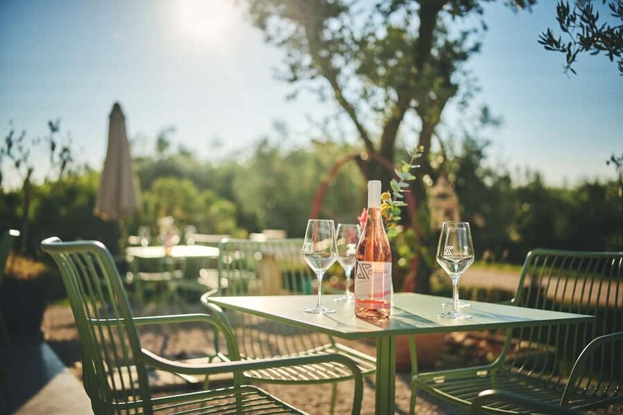 Istria: Pervino wine tasting - Booking details and flexibility