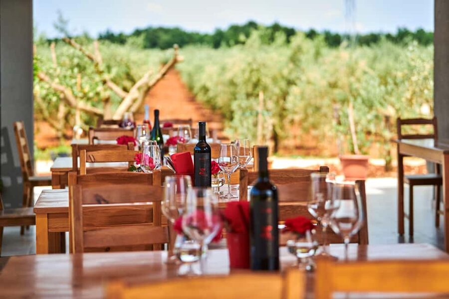 Istria: Pervino wine tasting - Cold cuts, cheese, and Pervino olive oil