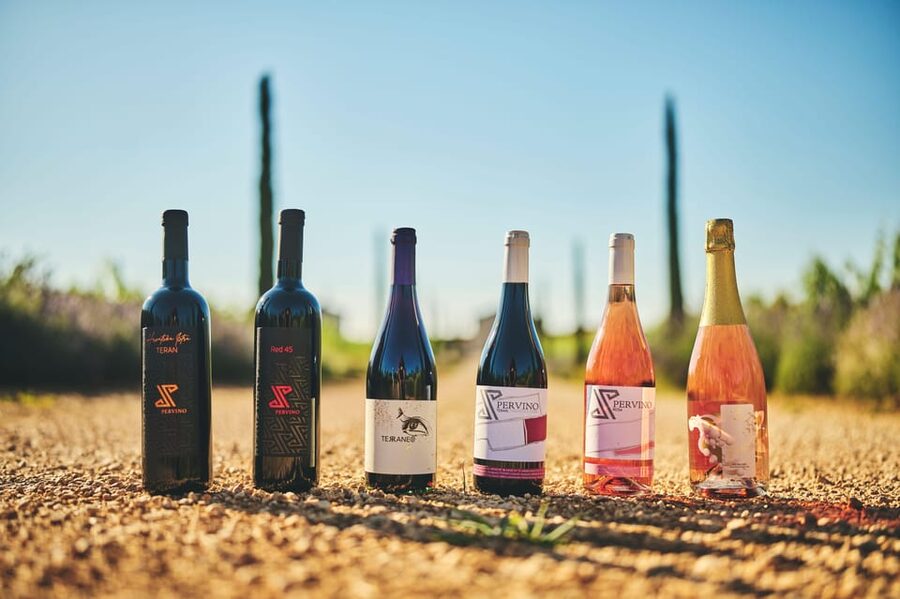 Istria: Pervino wine tasting - What the winery setting adds