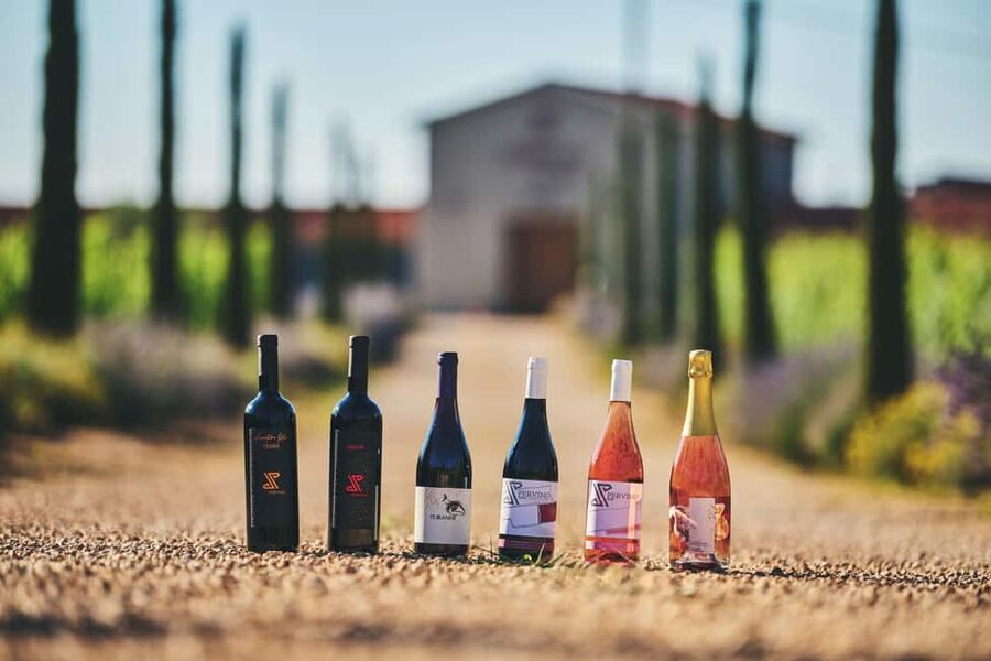 Istria: Pervino wine tasting - The first three pours at Pervino