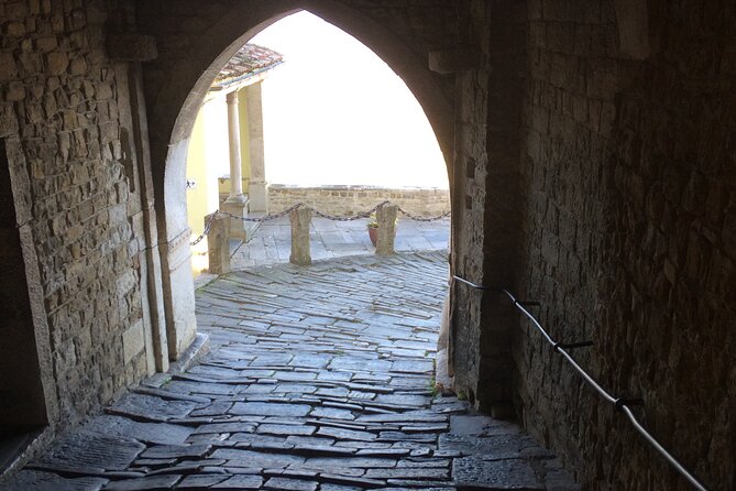 Istria Private Day Trip - Homemade Istrian food and pork from the spit