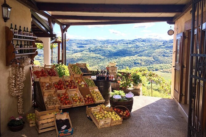 Istria Private Day Trip - Hilltop villages and Venetian details
