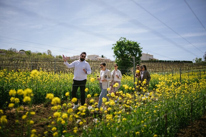 Istria Wine Tour from Rijeka and Opatija - Key points to know before booking