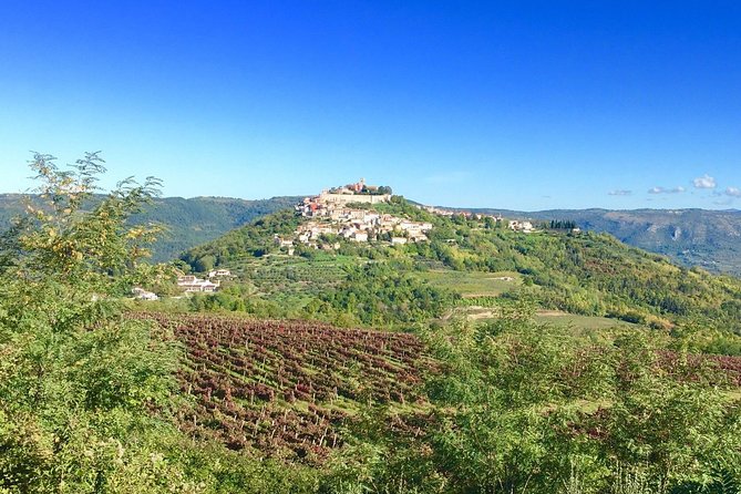 Istrian hill top cities tour with truffle and olive oil tasting - Lunch in Motovun: plan for your own meal