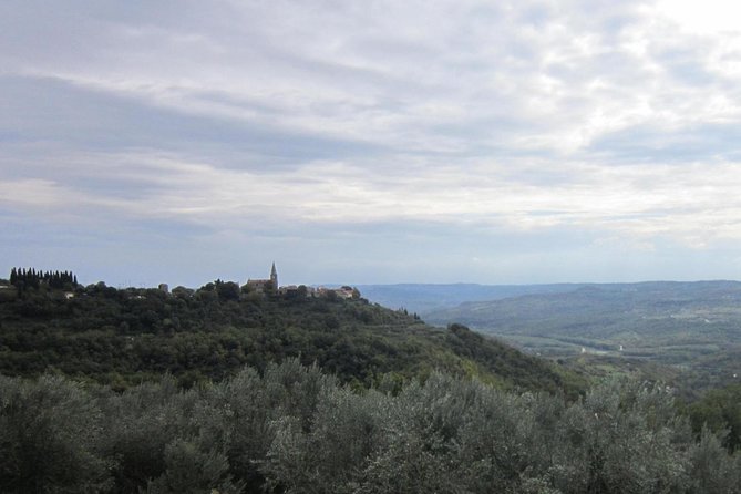 Istrian hill top cities tour with truffle and olive oil tasting - Pazin Abyss: a final ten-minute view