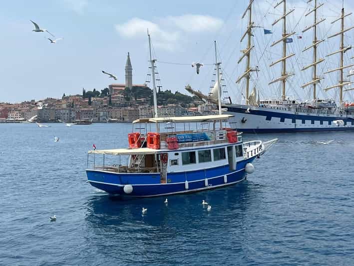 Izlet brodom iz Vrsara: Zalazak sunca i druženje s delfinima - Watching dolphins in their natural home