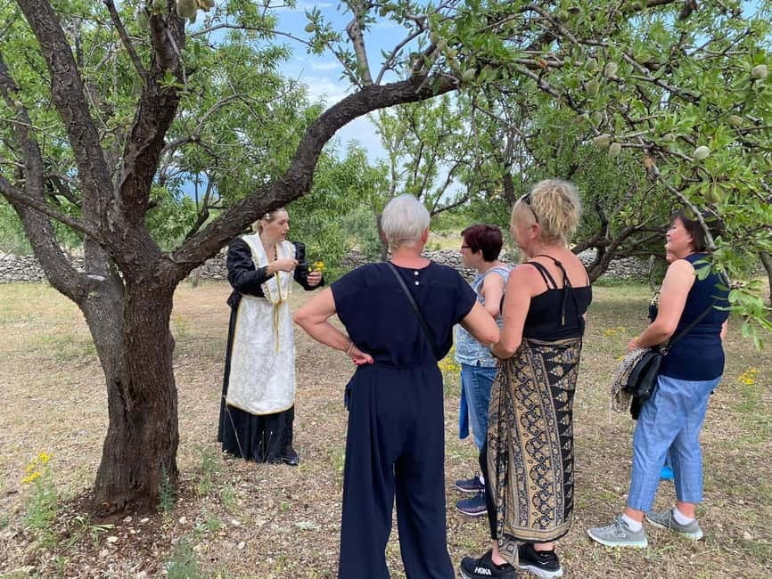 Kastela: Wine & Olive Tasting Tour w/Delicacies & Live Music - Key points to know before you book
