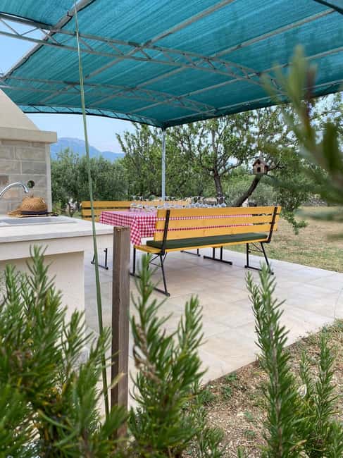 Kastela: Wine & Olive Tasting Tour w/Delicacies & Live Music - Who will enjoy this Kaštela experience most?