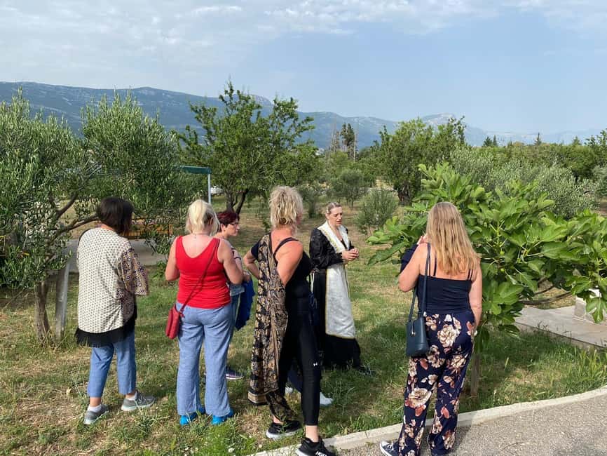 Kastela: Wine & Olive Tasting Tour w/Delicacies & Live Music - Should you book the Family Farm Strizic tour?