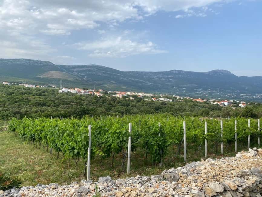 Kastela: Wine & Olive Tasting Tour w/Delicacies & Live Music - The Bijaći walk connects farming with Croatian history