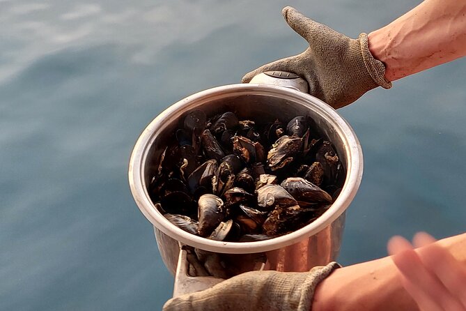 Kayaking and mussels tasting at Krka River estuary-private tours - What the guide adds to the morning