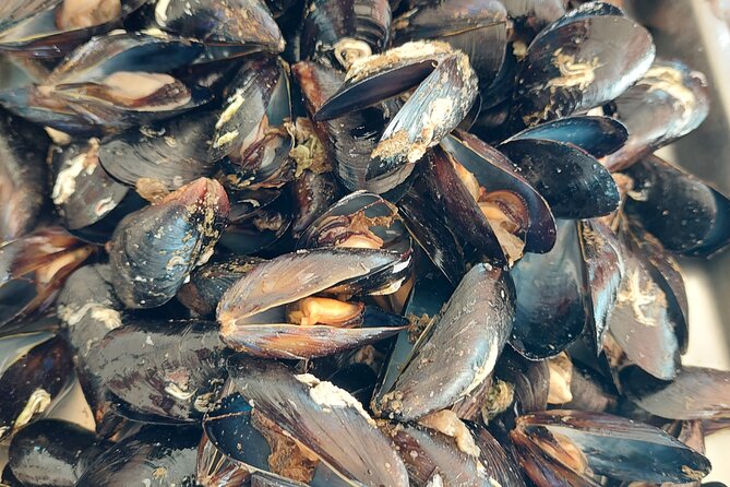 Kayaking and mussels tasting at Krka River estuary-private tours - Who will enjoy this Krka estuary outing?