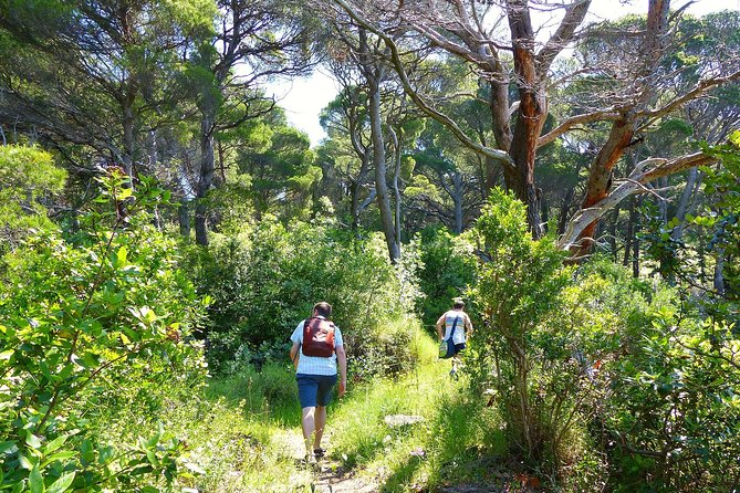 Kolocep Island Hiking and Swimming Full Day Trip from Dubrovnik - Fragrant plants and wide sea views