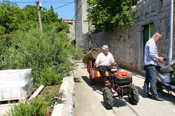 Kolocep Island Hiking and Swimming Full Day Trip from Dubrovnik - What the $105.86 price buys you