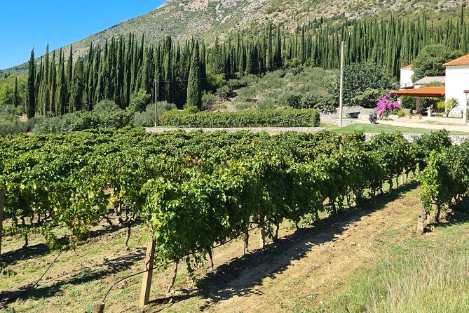 Konavle Gastro & Culture Tour (Private Tour) - Pridvorje brings in the region’s religious heritage