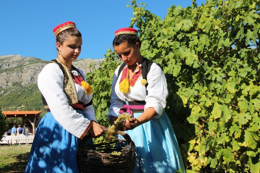 Konavle Valley: Private Half-Day Tour with Wine Tasting - Leaving Dubrovnik for Konavle Valley