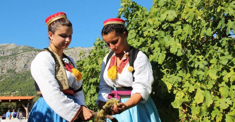 Konavle Valley: Private Half-Day Tour with Wine Tasting - Meeting a family wine-maker