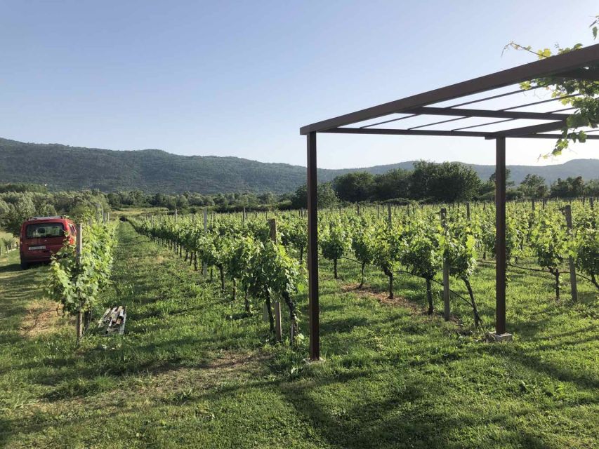 Konavle Valley: Private Half-Day Tour with Wine Tasting - Who will enjoy this Konavle outing most?