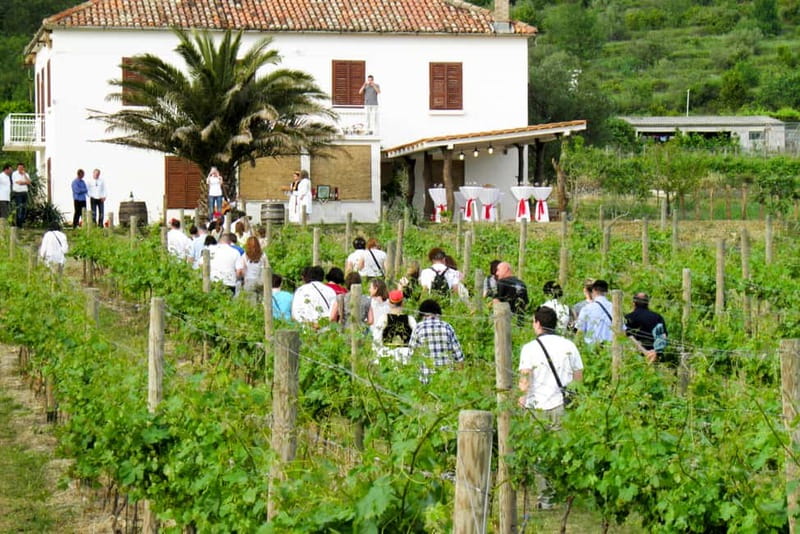 Konavle Valley: Tour with Wine Tasting from Dubrovnik - Why Konavle is worth a half-day from Dubrovnik