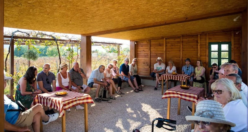 Konavle Valley: Tour with Wine Tasting from Dubrovnik - Ljuta’s water mill and old working methods