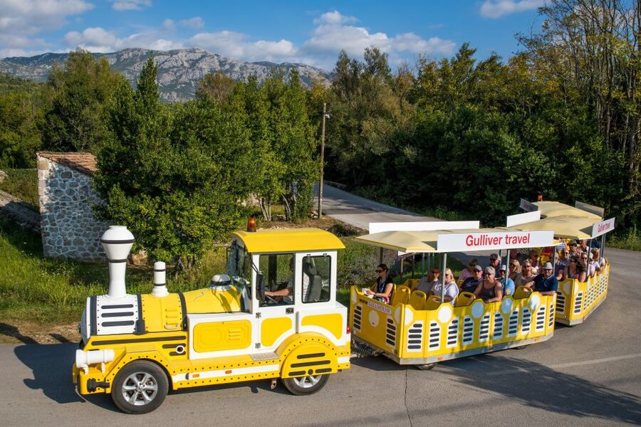 Konavle Valley: Tour with Wine Tasting from Dubrovnik - What the guide adds to the day