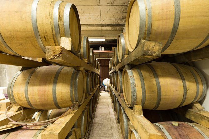 Konavle wine tasting tour from Dubrovnik with 2 vinery's - Why Konavle is worth the short ride from Dubrovnik