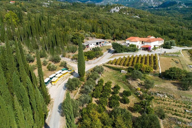 Konavle wine tasting tour from Dubrovnik with 2 vinery's - Group size, booking, and cancellation details