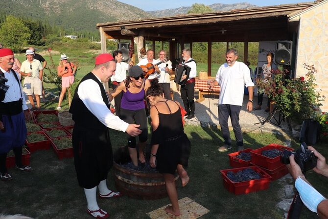 Konavle wine tasting tour from Dubrovnik with 2 vinery's - Who will enjoy this wine tour most?
