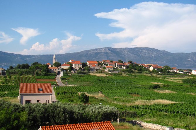Korcula Bike & Wine Tour | Wine Tasting in Lumbarda - The return transfer makes the drinking practical
