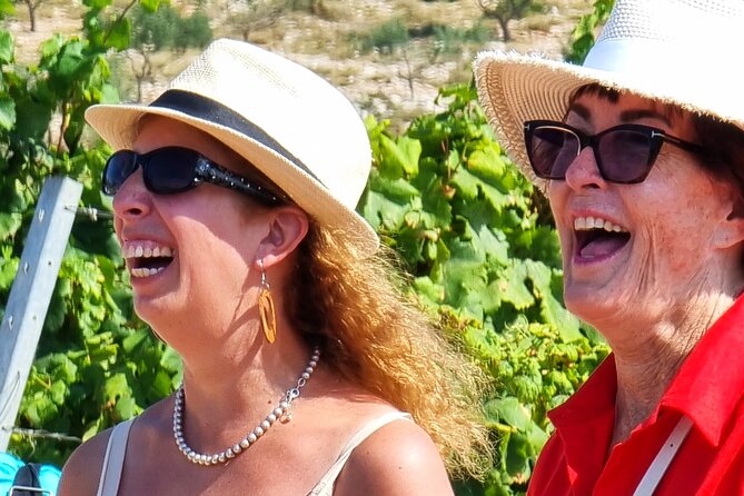 Korcula Buggy (Official) Safari Tour -Local Food & Wine Tasting- - What the $129.45 price buys you